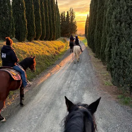 Tuscan With Bespoke Experiences *